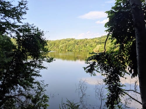 Silver Lake through the trees, one of the fun White Plains things to do