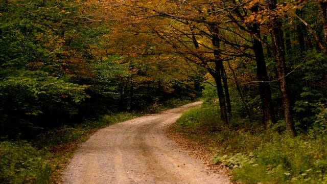 Dirt road leading to an old cemetery in October Mountain State Forest in Lee, MA