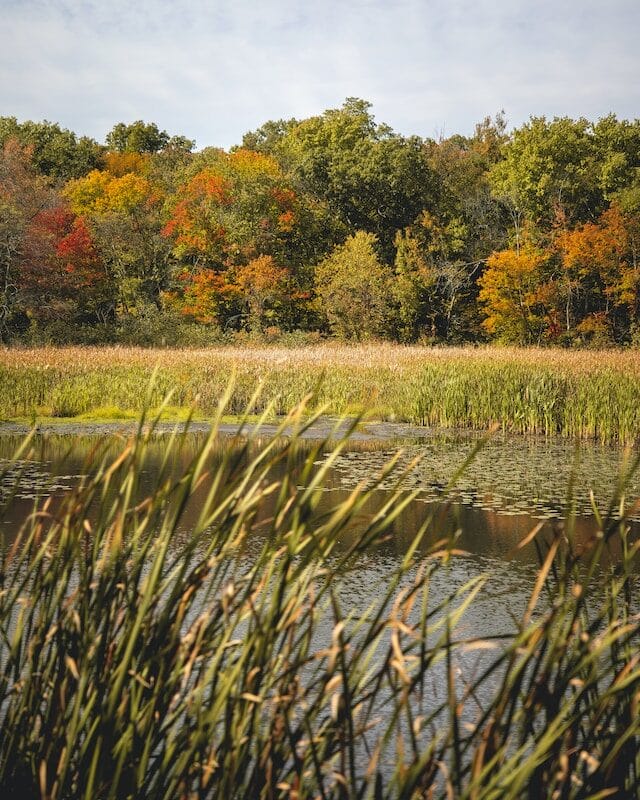 lake in Massachusetts