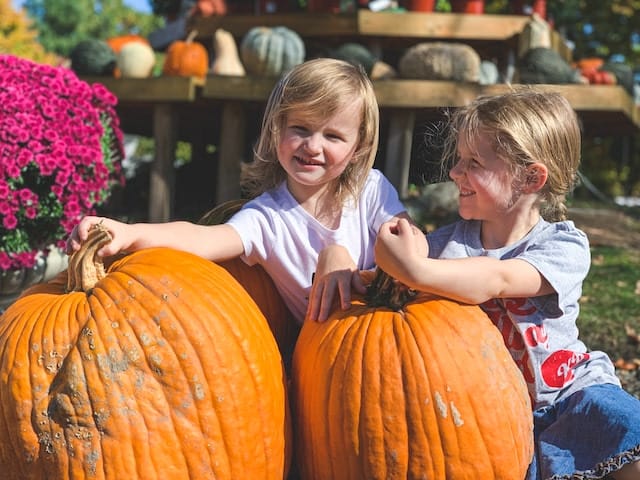 Girls with pumpkins