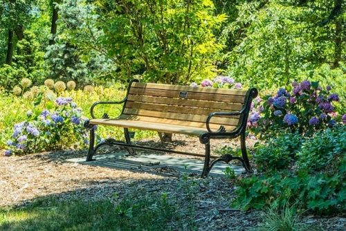 Park bench in Manchester, CT