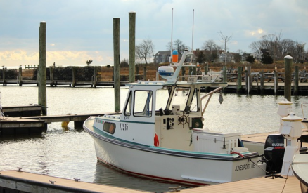 Boat in the Guilford marina