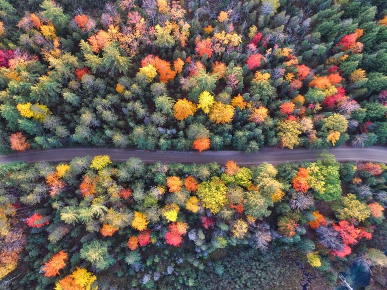 Fall foliage along a New York to Boston Road Trip