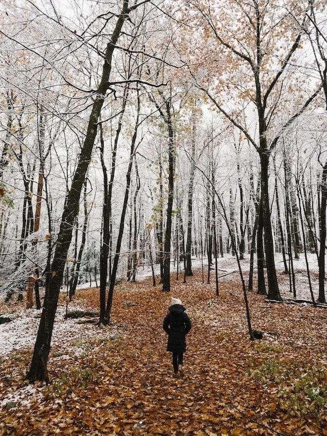 Winter walk in Hudson, NY