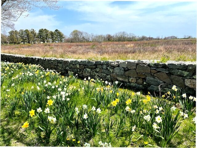 Rock wall at Haley Farm State Park
