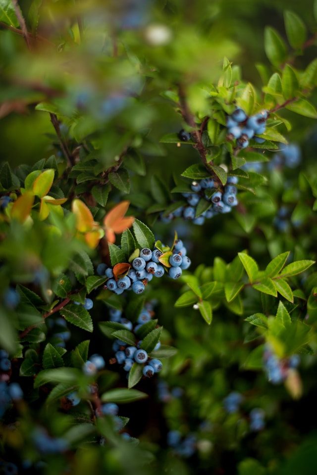 0f94c5e6 8a64 4aac 9d00 e438c887fff4 Things to Do in Warwick RI: Top 13 Most Unique Spots