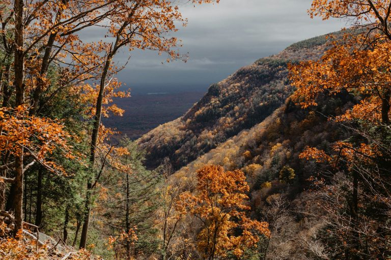 One of the epic views; home to bald eagles and adrenaline junkies, the great outdoors are top attractions in the Catskill Mountains