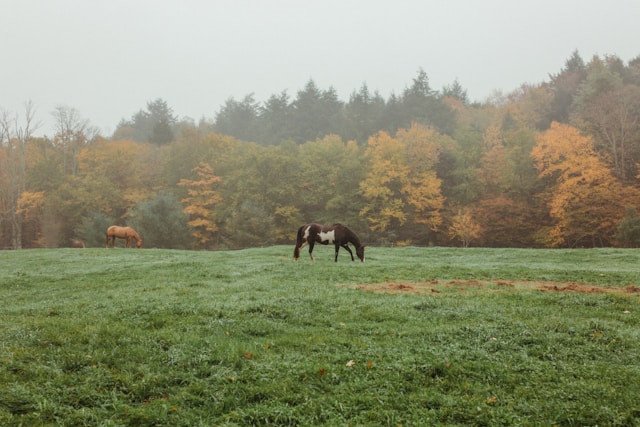 Idyllic rural landscape of the Catskills region