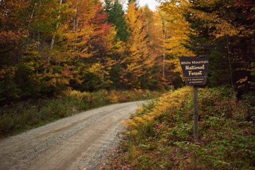 Picturesque landscapes of White Mountain National Forest of New Hampshire