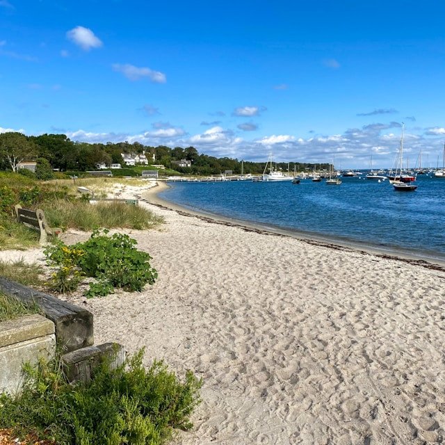 Tisbury Town Beach, next to the Vineyard Haven Yacht Club
