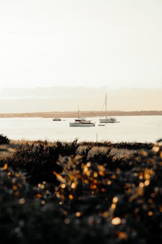 Sailboats off the coast of Watch Hill, RI