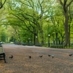 One of the best parks in NYC