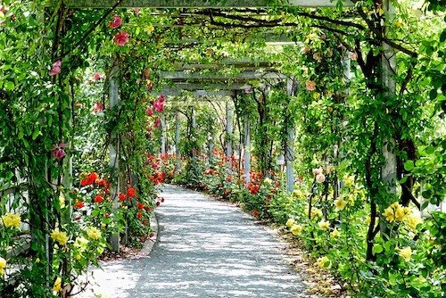 Places To Elope In Ct: Top 23 Most Unique Spots 8 A captivating illustration of Wickham Park's natural beauty, ideal for a nature-inspired elopement ceremony