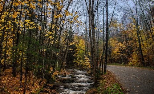 Scenic Hiking Trail in Manchester VT