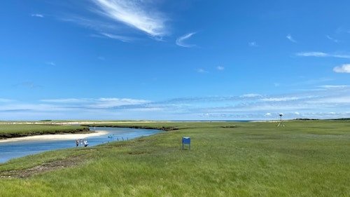 Salt marshes of Sandwich, MA