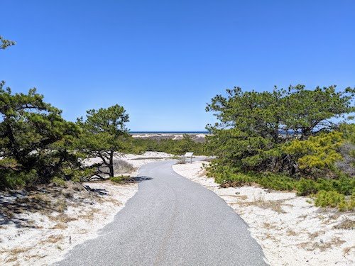 Fox Run Trail, one of the trails we biked around in P-Town