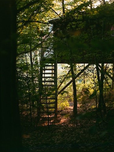 Treehouse in the woods