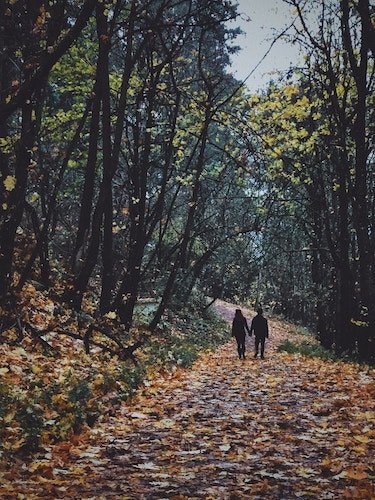 Engagement session in the woods of Connecticut