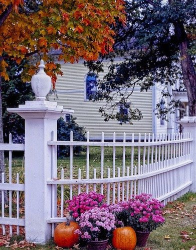 Old fence post in Manchester Village