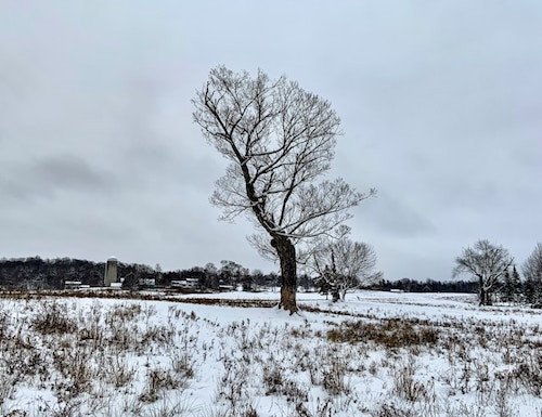Winter at Sparrow Farm in Montpelier, Vermont