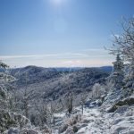 Green Mountains in winter, one of the best things to do in Manchester VT