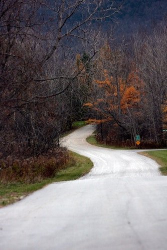 Dirt road through the Green Mountains near Manchester, Vermont