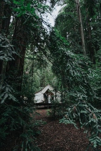 Wooded trails leading to a camp wedding