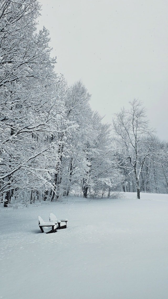 Winter is a peaceful time of year in the Catskills, especially with snow on the ground