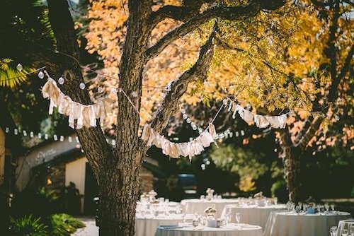 One of the beautiful outdoor spaces under stately trees near New Haven for your special occasion