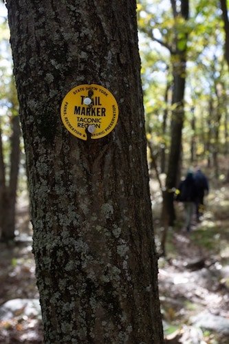 Taconic Trail marker on the way to the fire tower near Breakneck Ridge, one of the best upstate NY hiking trails in the Hudson Valley