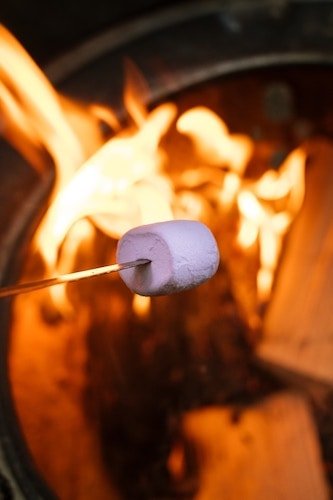 Cooking smores over fire pits is one of the best things to do while glamping in New England, including at Woods Hole