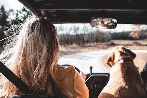 Woman hitting the road to a national park on the East Coast, favorite travel buddy by her side