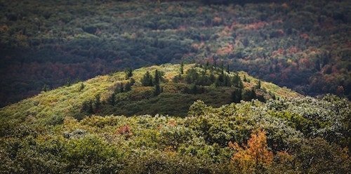 The peak of Overlook Mountain