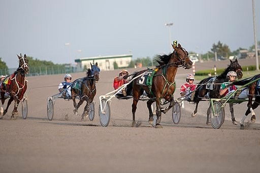 Harness racing at Yonkers Raceway, attached to Empire City Casino