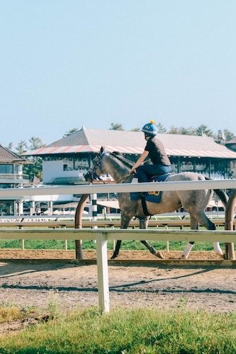 The horse race track in Saratoga Springs
