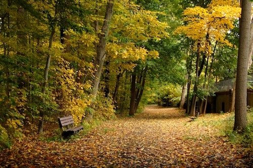 Bronx River Parkway trial, passing through Scarsdale, New York