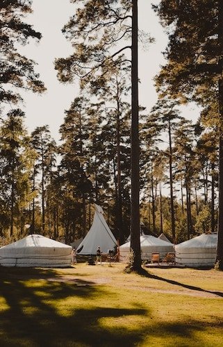 Variety of glamping accommodations in a forest setting