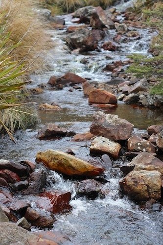 Tibbets Brook Park in Yonkers NY