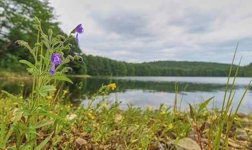 Outdoor adventure along the Connecticut River with kayaking and birdwatching