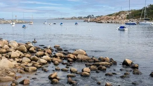 A seagull and a cormorant chilling on the rocks at low tide in the outer part of Rockport Harbor. The view from Bearskin Neck curves around the left side of the harbor. And off in the distance, you can spot the Straitsmouth Island Light Station peeking through the sailboat masts.