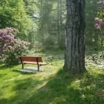 Bench in Childs Park in downtown Northampton, Massachusetts, one of the best things to do in Northampton, MA