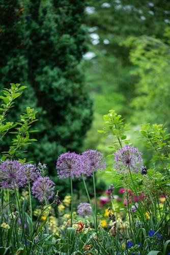 garden area at a Connecticut inn