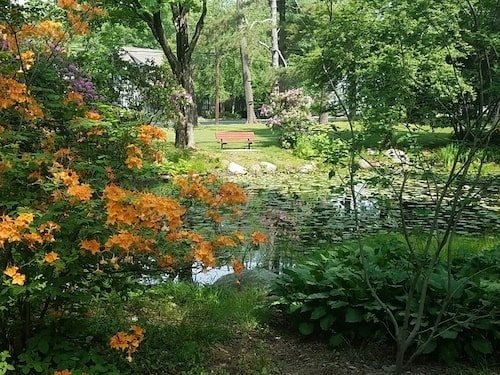 Idyllic pond in Childs Park in downtown Northampton, Massachusetts