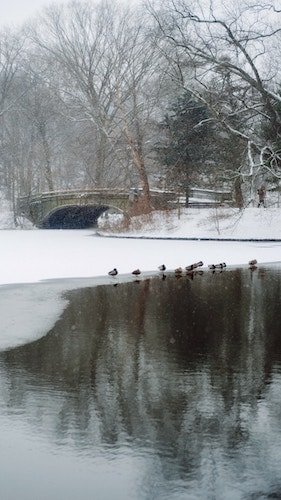 Winter in Prospect Park in Brooklyn