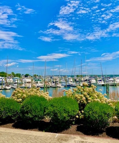 Much of the local coastal land is marinas and other human nautical use