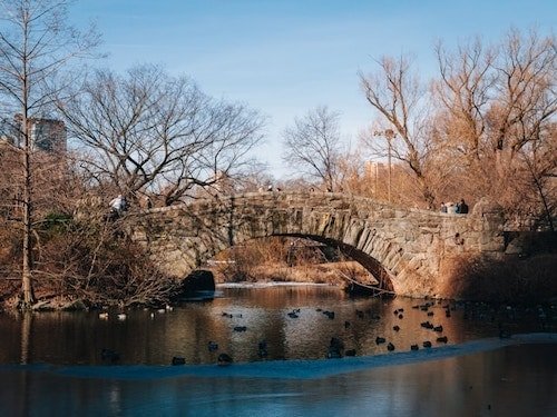 Winter in Central Park