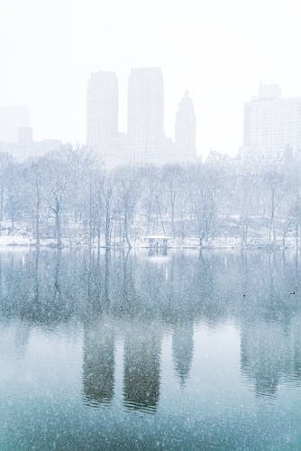 A snowy landscape in Central Park