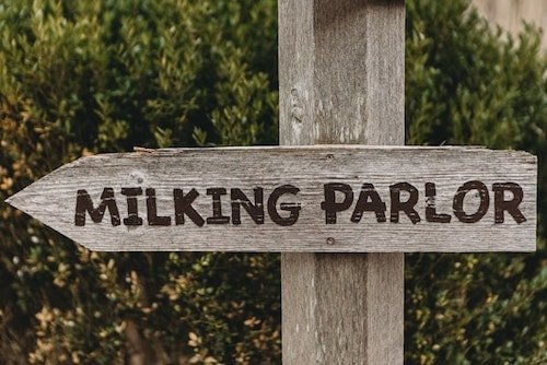 Best Ice Cream In Ct: Top 13 Most Unique Spots 7 Sign to the milking parlor at a dairy bar in CT