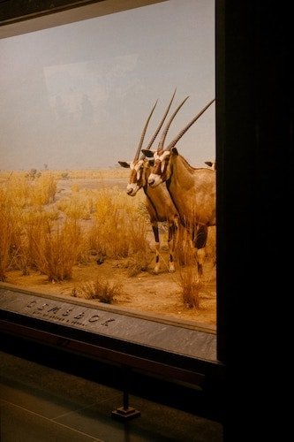 Pretend you're exploring a warmer part of the natural world while you're here