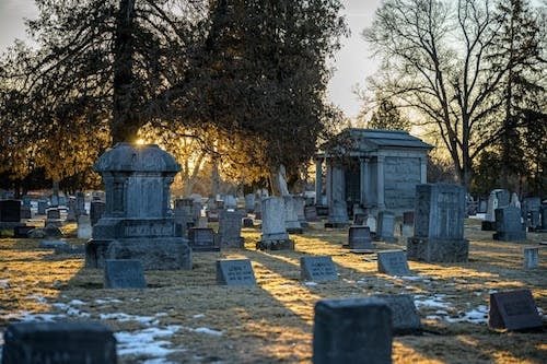 Sun poking through the trees in Woodlawn Cemetery